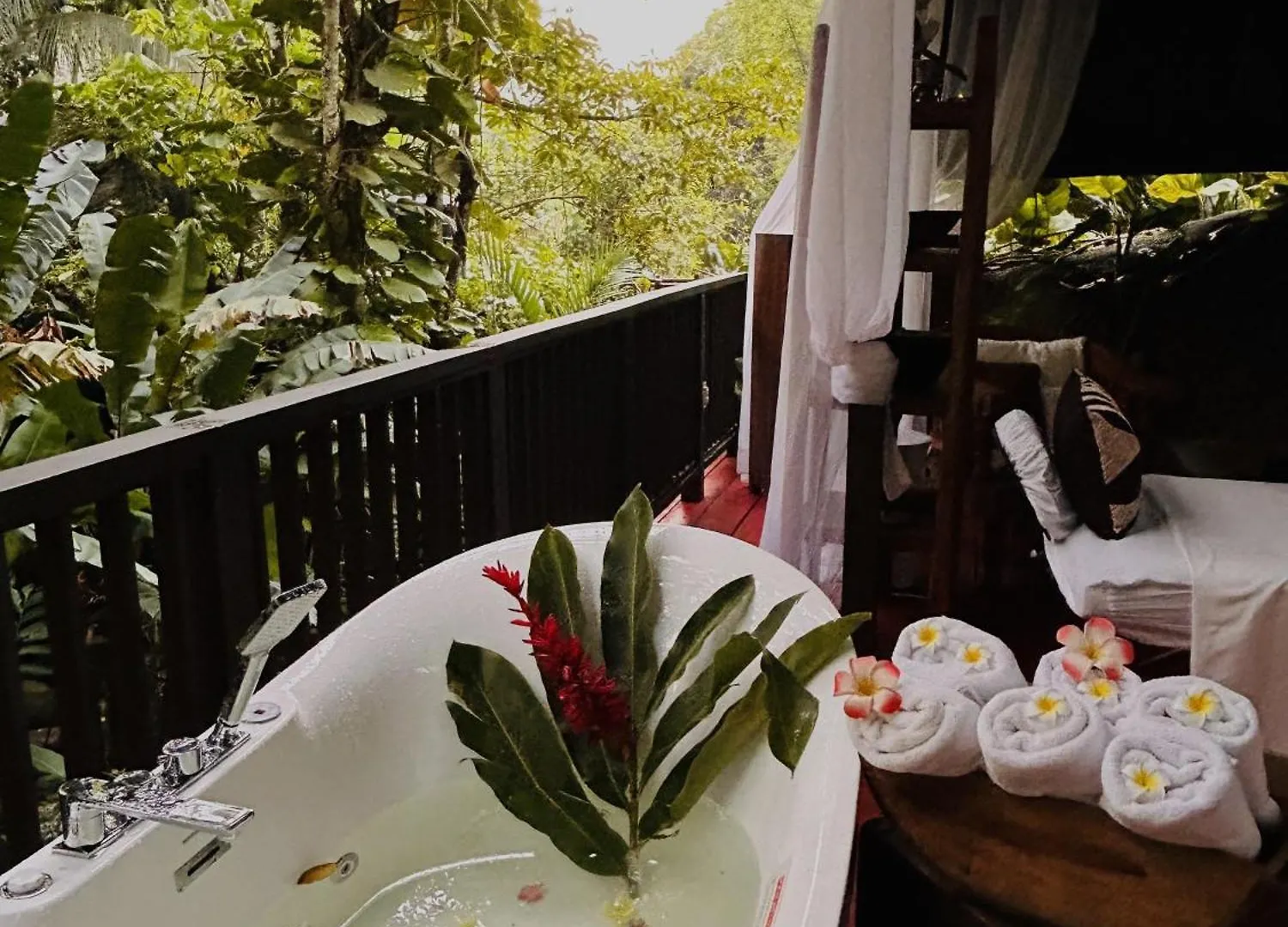 Hotel Serendipity Holistic Resort Spa Kingston